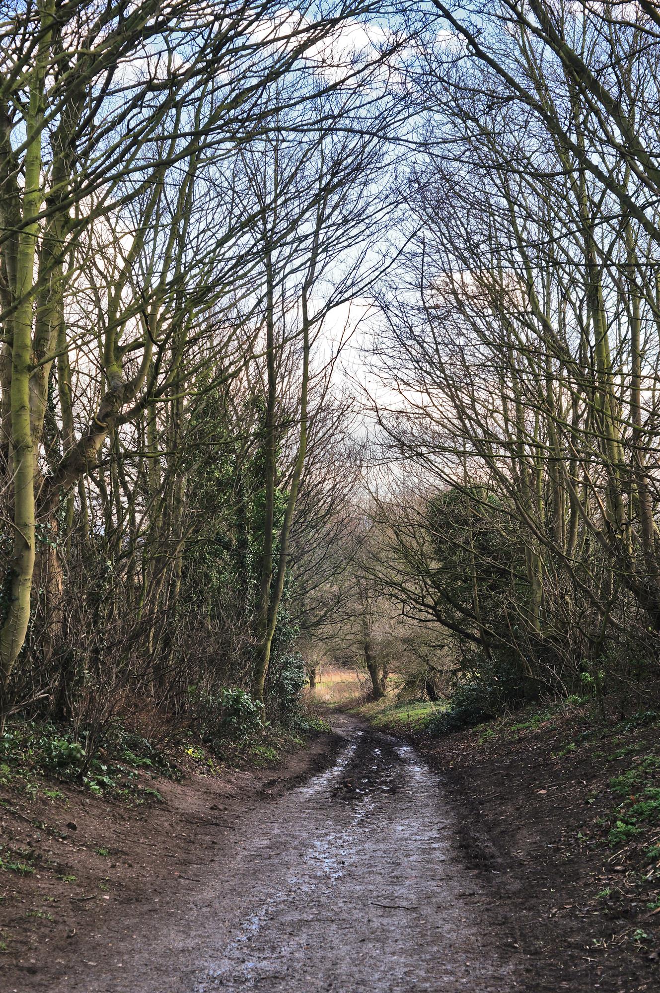 The Graveyard Slot Blidworth Cemetary